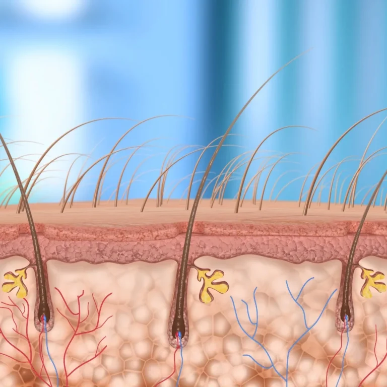 osteopontin and cd44 as a potential cure for hair loss