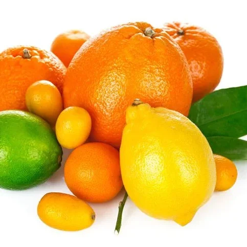 Limonin in citrus fruit, a natural treatment for hair loss