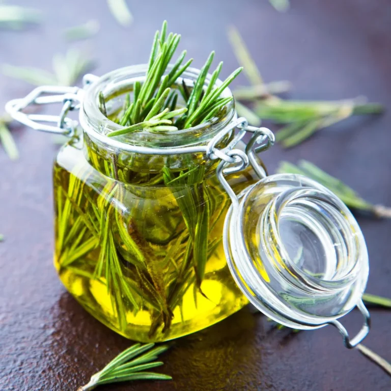 rosemary oil as a natural remedy for hair loss