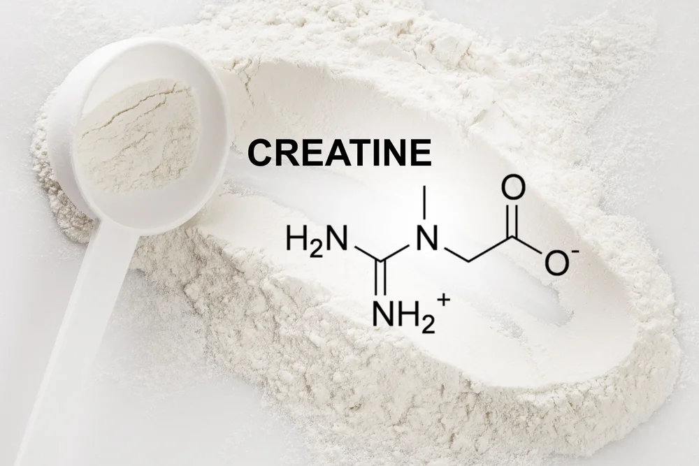 creatine powder and chemical composition